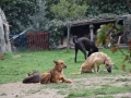 DSC_0036.jpg