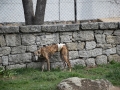DSC_0039.jpg