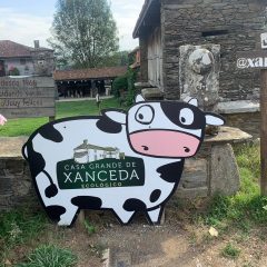 A principios de semana nos subimos a Galicia con nuestros chicos a visitar la granja Xanceda.
