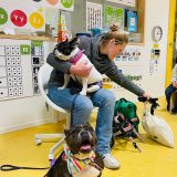 En Belgica nuestros perris de Bichosraros adoptados también van al cole a enseñarles a los niños lo felices que están. 