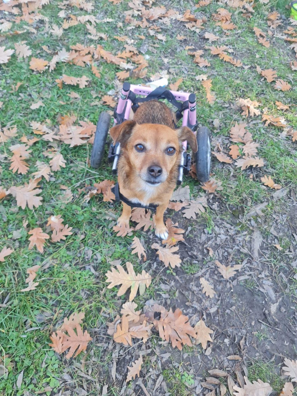 402916766_673700671566658_7483586002698781057_n