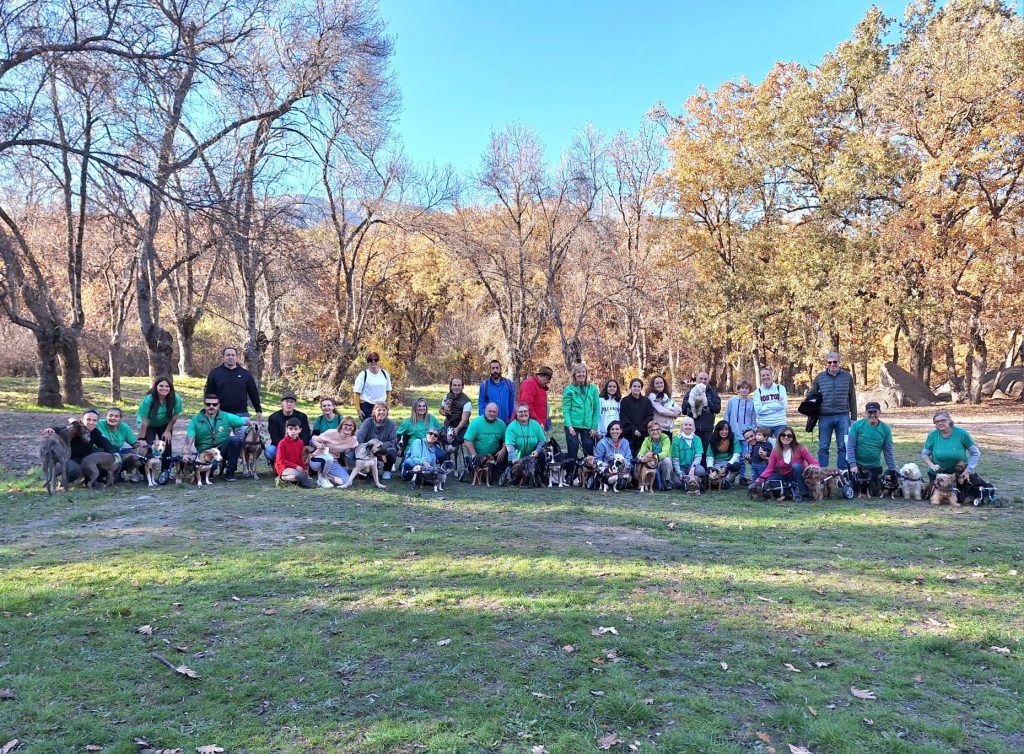 WhatsApp Image 2023-11-19 at 17.49.56