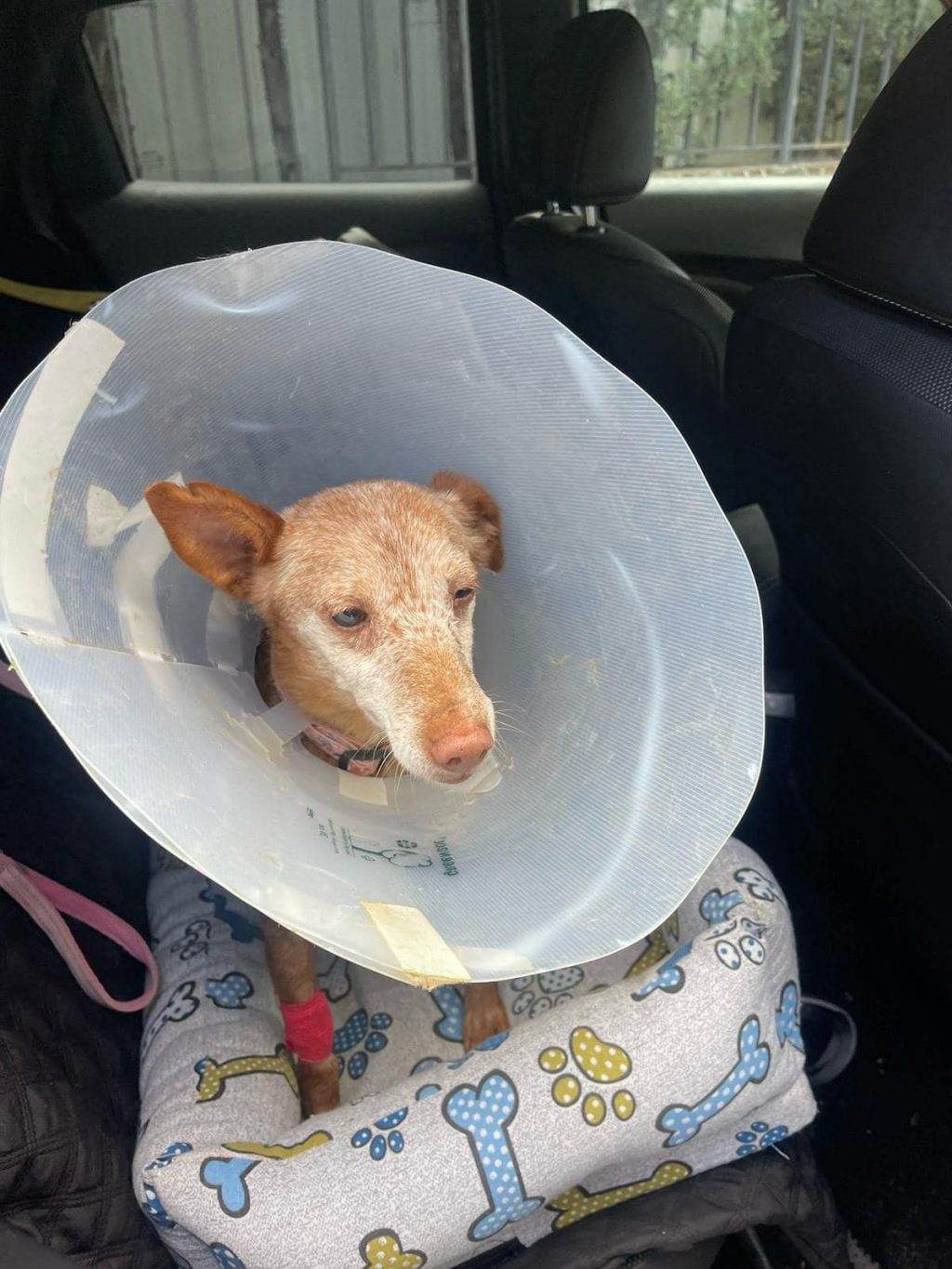 434388334_746785907591467_3177608821584623029_n