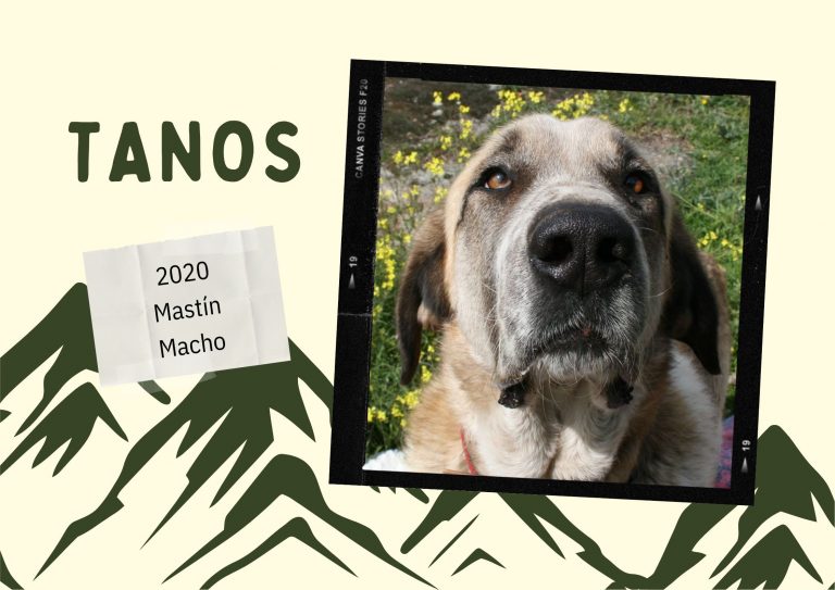 Tanos (esp)