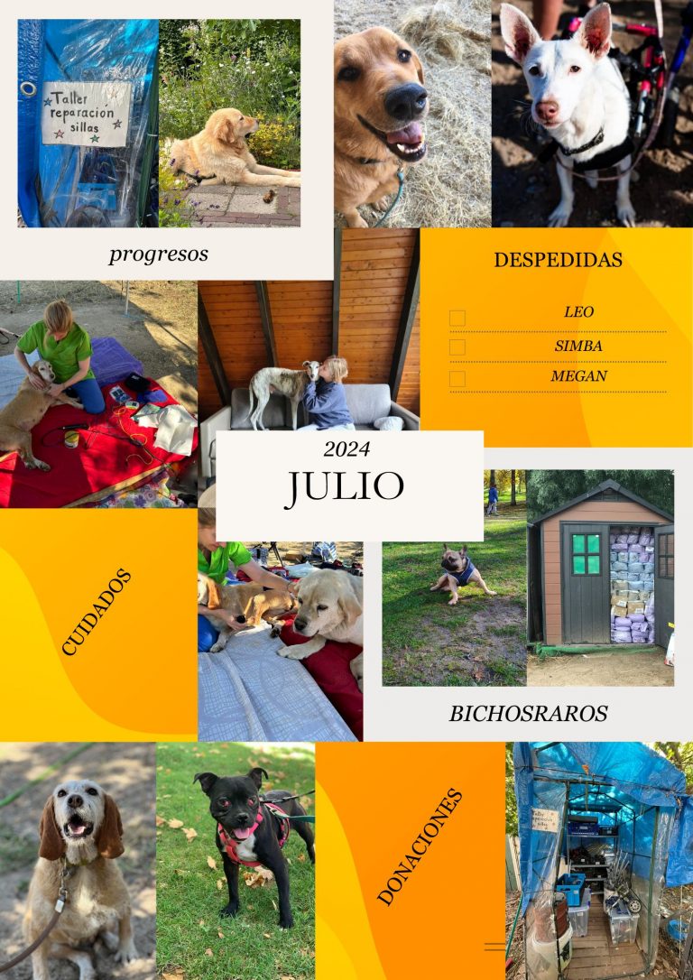juLIO 2024