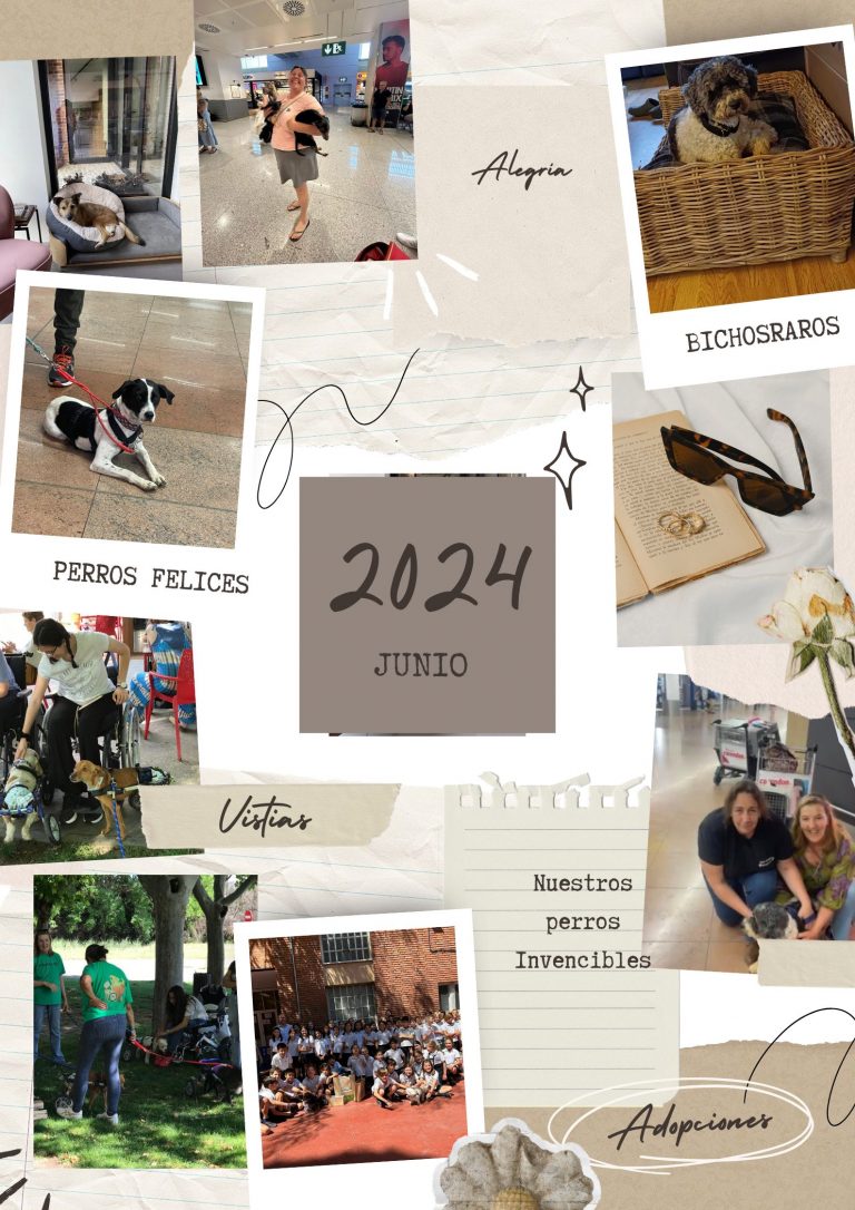 junio2024
