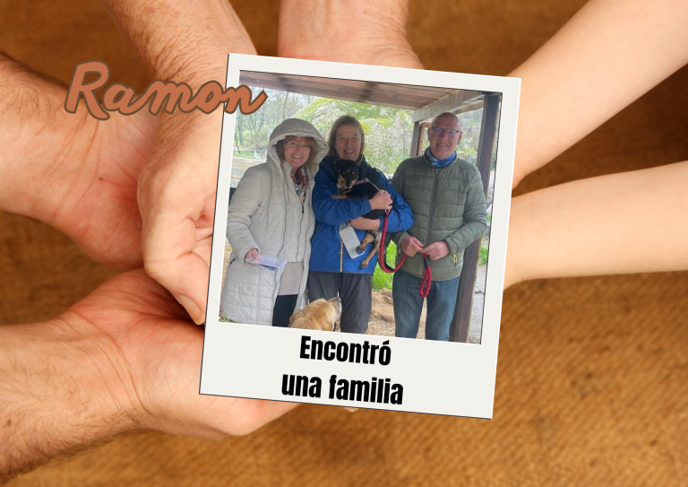 Bichos raros (5)