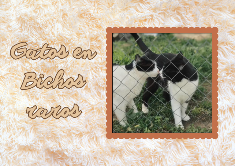 Bichos raros (6)