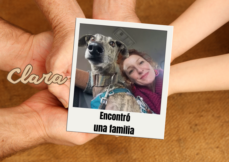 Bichos raros (6)
