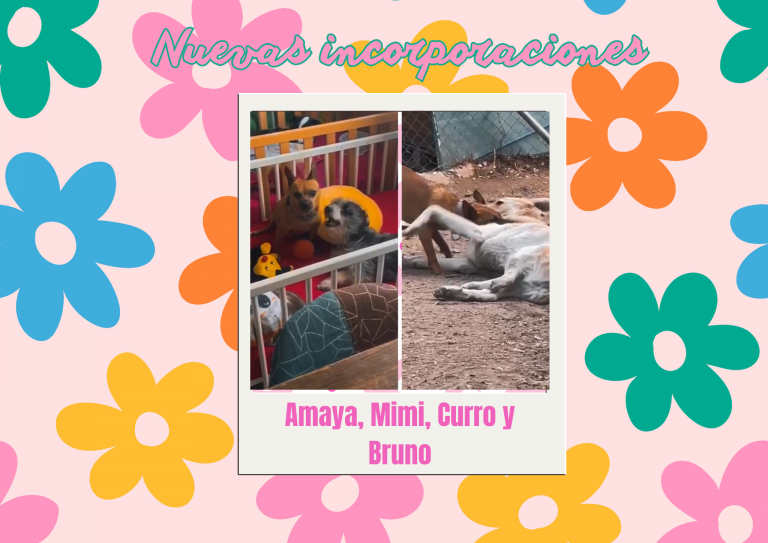 Bichos raros (14)