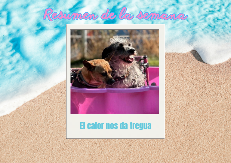 Bichos raros (13)