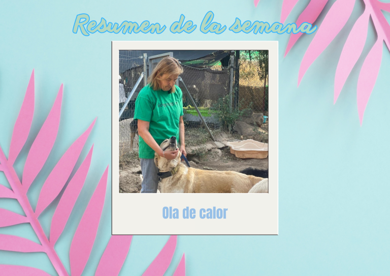 Bichos raros (13)