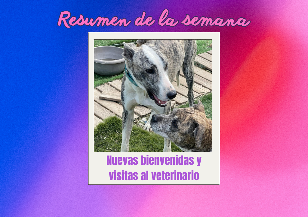 Bichos raros (15)