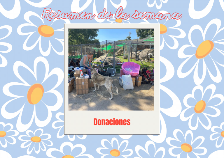 Bichos raros (18)