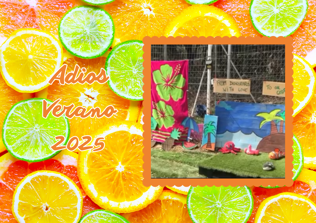 Bichos raros (17)