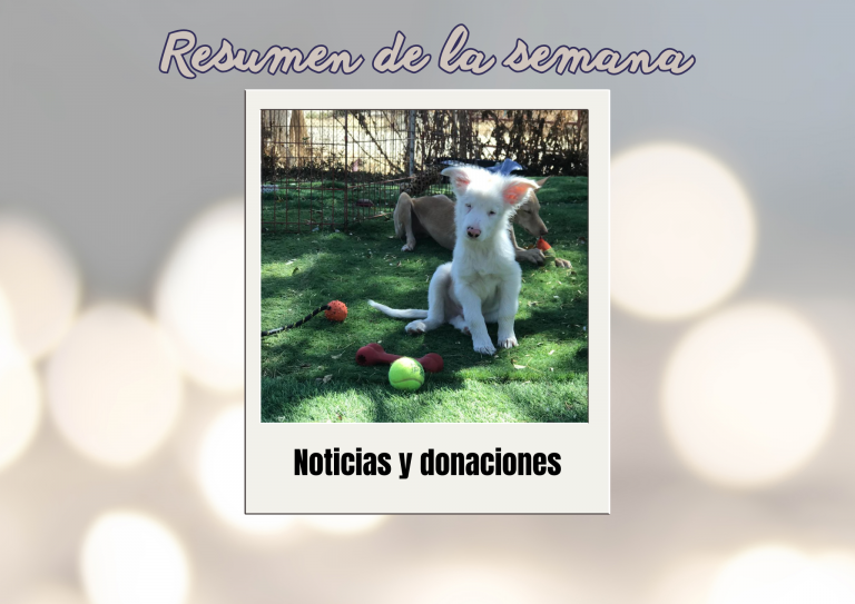 Bichos raros (21)
