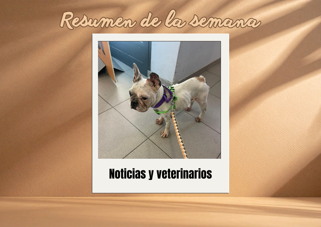 Bichos raros (22)