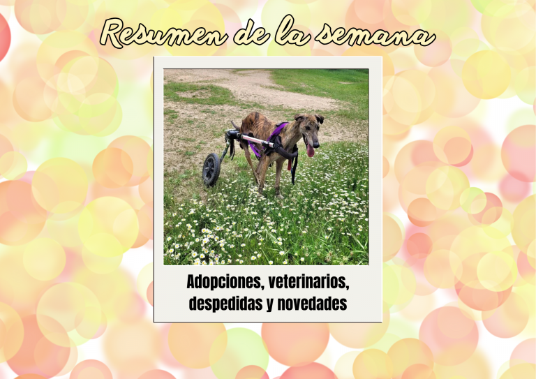 Bichos raros (1)