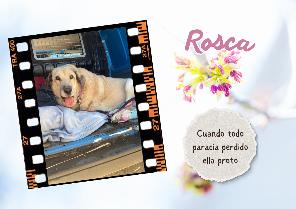 Bichos raros (12)