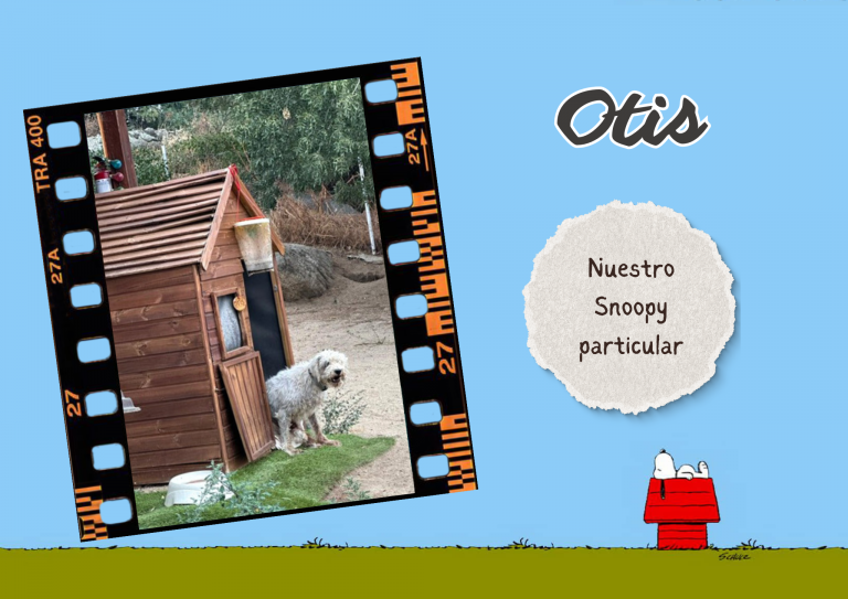 Bichos raros (13)