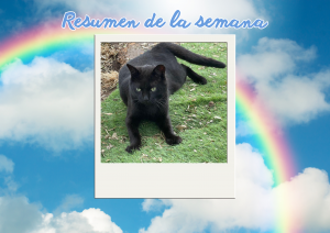 Bichos raros (2)
