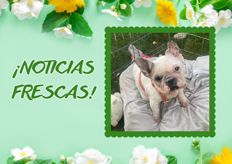 Bichos raros (25)