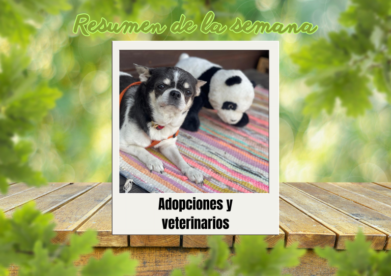 Bichos raros (27)