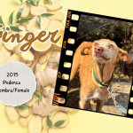 Bichos raros_20251022_152140_0000