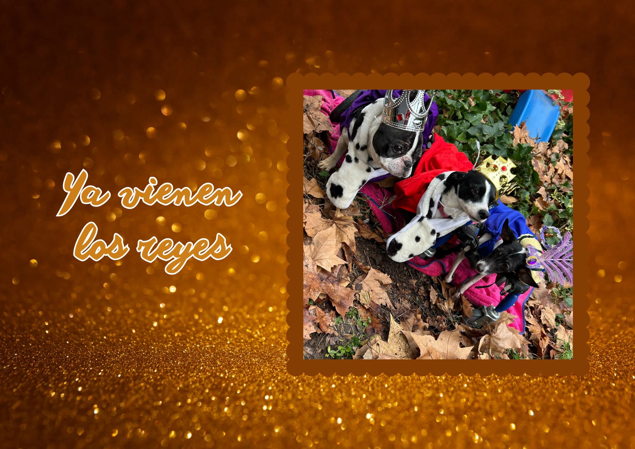 Bichos raros_20260105_123816_0000